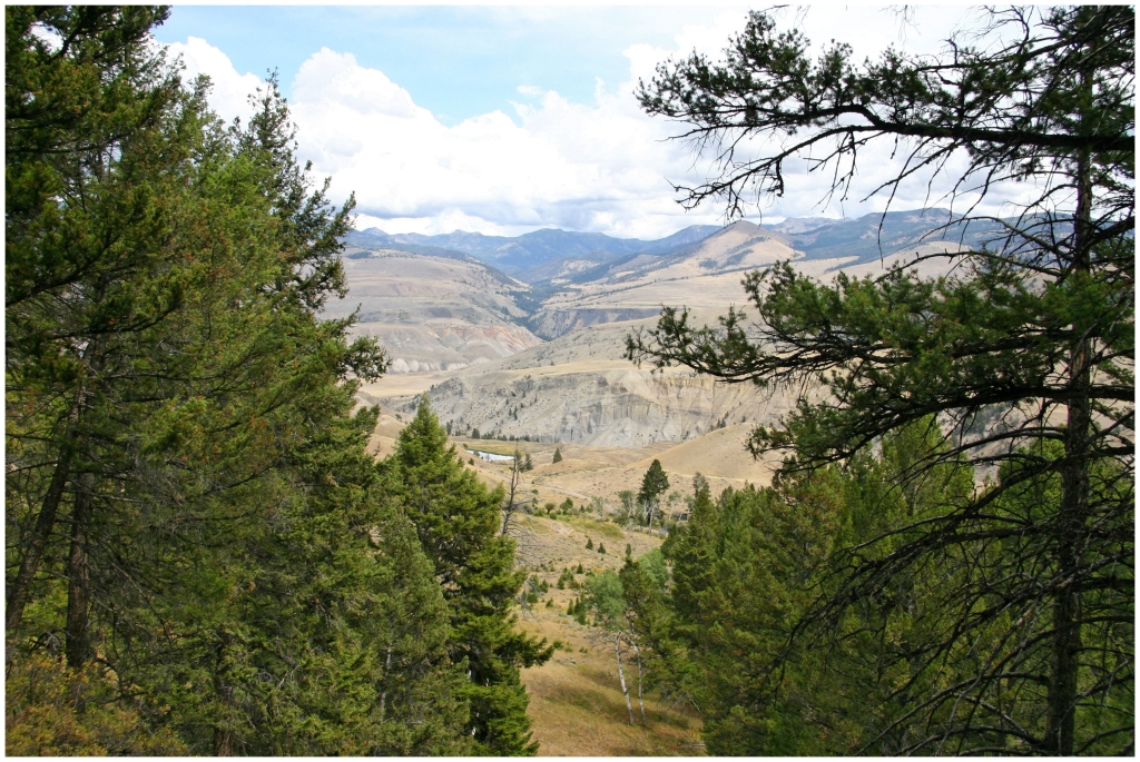 04 - Yellowstone NP (16).jpg